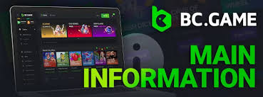 Exploring the Thrills of Crypto Casino BC.Game MG